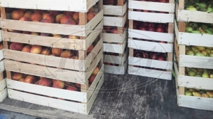 Zaplena četiri tone voća iz Srbije