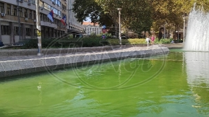 Zelena voda u fontani