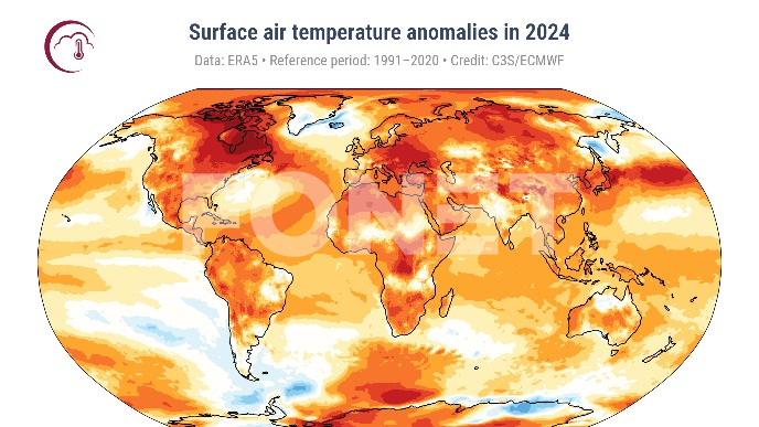 Fonet :: Ekologija :: Godina ekstremne temperature