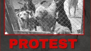 Protest za dobrobit pasa