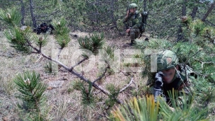 Uvežbavanje "Vihor 2024"