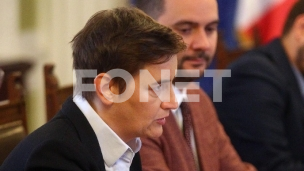 Ana Brnabić u Nemačkoj