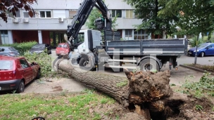 Intervencija na 639 lokacija