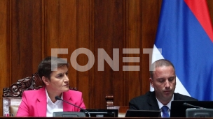 Rečnik Ane Brnabić