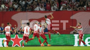Zvezda u Ligi šampiona