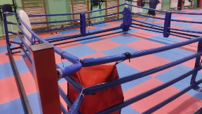 U Nišu SP u boksu za žene
