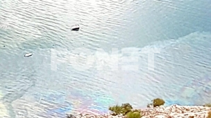 Ekološki incident u Boki