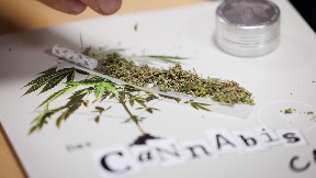 Legalizacija kanabisa greška?
