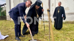 Drvo mira kao memorijal
