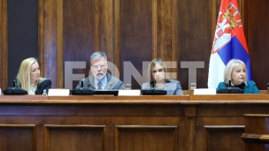 Ristić: Prevencija  nasilja