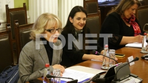 Raguš: Institucije Stefanovića