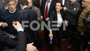 Sramni napadi na Mariniku Tepić