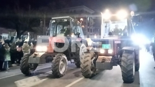 Studenti su stigli u Inđiju
