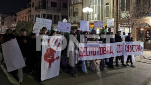Protest "Despotovac je ustao"