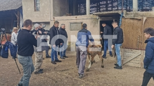 Pomoć za mala gazdinstva