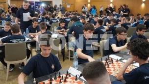 "Majstroski potez" iz dijaspore