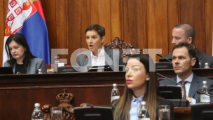 Totalitarna opozicija 