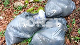 Zaplenjeno 30 kga marihuane