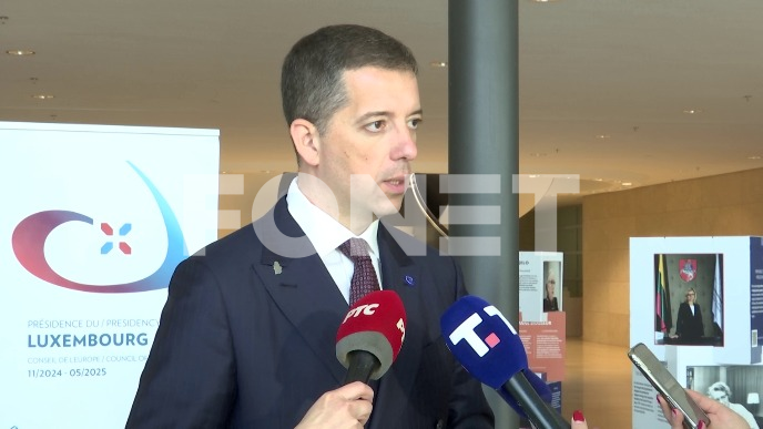 Kosovo neće postati čkan SE