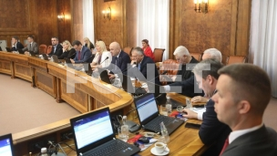 Zakon u proceduri zbog REM