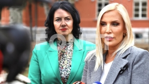 Kriminalna hobotnica u Nišu