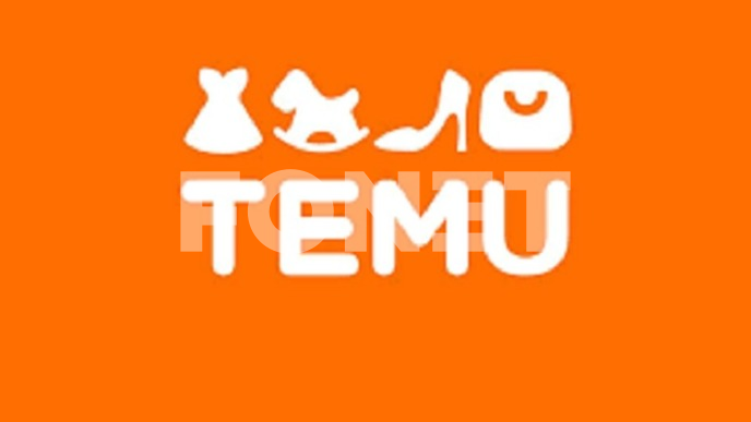 Temu beleži pad neto dobiti
