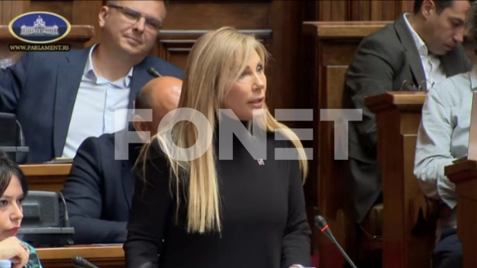 Kozmetičke izmene zakona