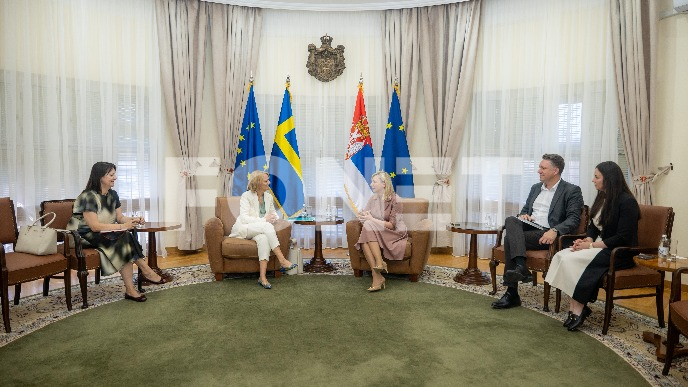 Iskustvo švedske dragoceno