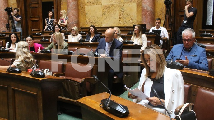 Primedbe na izmene i proces