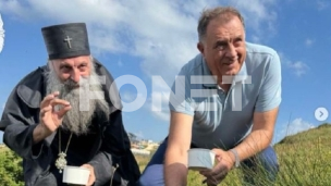 Berba borovnica sa patrijarhom