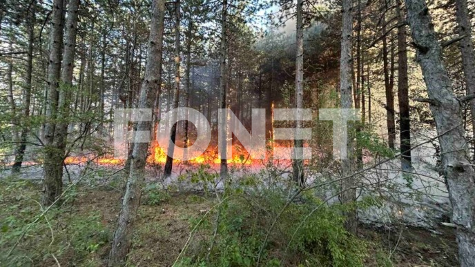 Požari u Topličkom i Kostolu