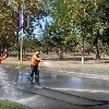 Čišćenje iza parade