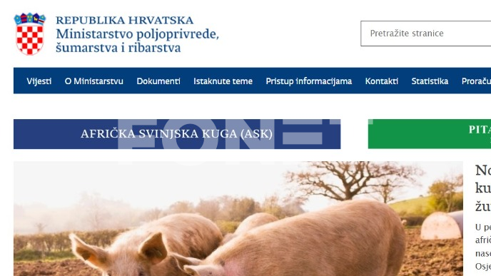 Širi se afrička svinjska kuga
