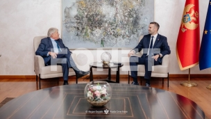 Rehabilitacija dinastije 