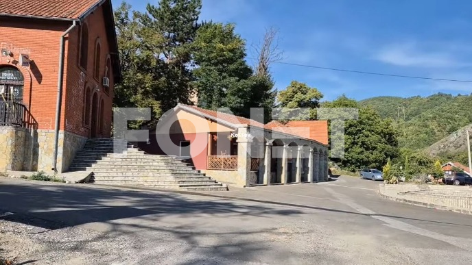 Radoičić bez odgovornosti