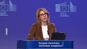 Nezavisna istraga