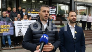 Partijska okupacija kulture