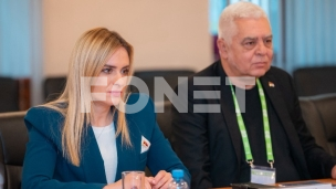 Saradnja Srbije i Rusije 