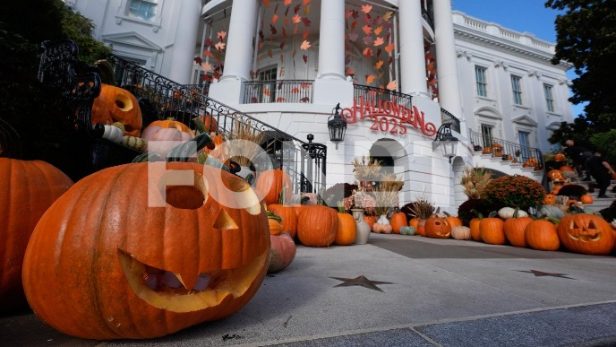 FoNet/AP-UKRASI-VEŠTICE FoNet/AP-UKRASI-VEŠTICE