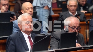 Posle pauze o Savetu REM-a