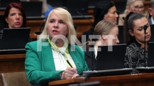 Rasprava o Savetu REM