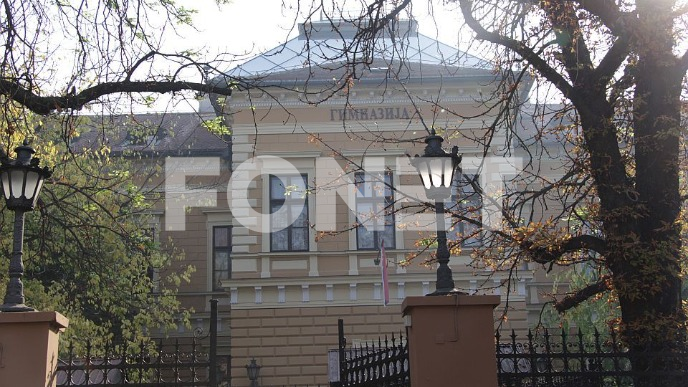 Bez Stojkovića dve nedelje