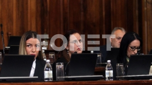 O stranim investicijama