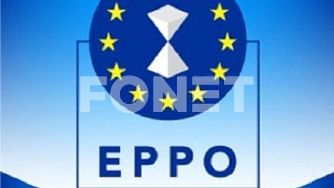 Riter kandidat za tužioca 