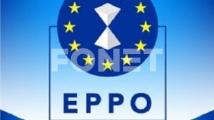 Riter kandidat za tužioca 