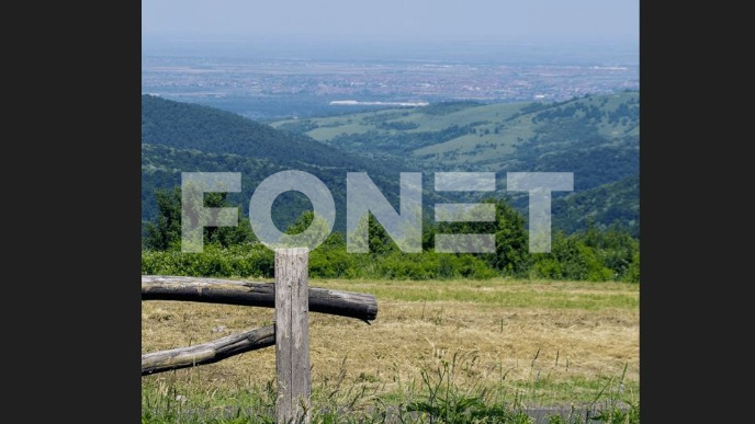 Stalni timovi volontera