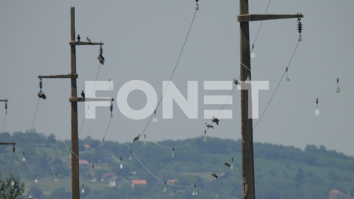 Obuka u pretraživanju terena