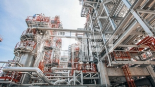 Kratkoročan značaj licece 