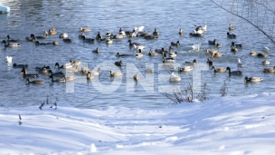 Sunčano, do pet stepeni