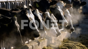 Zaštititi tržište mleka 